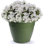 Bloempot donkergroen rond diameter 18 cm - Bloemen/plantenbak/plantenpot van kunststof