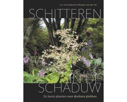 foto van Schitteren in de schaduw