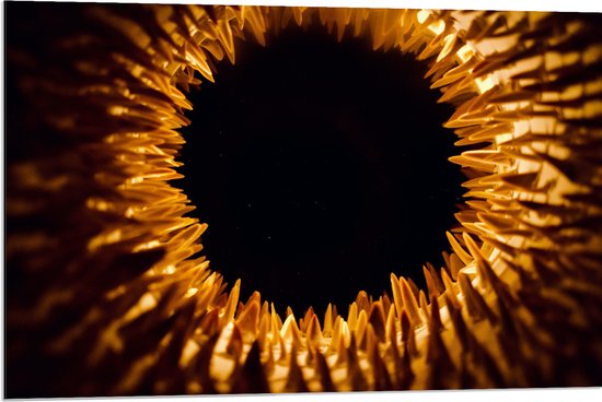Dibond - Close-up van Bruin Oog - 90x60 cm Foto op Aluminium (Met Ophangsysteem)