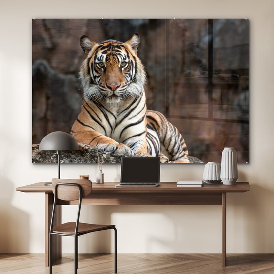 MuchoWow® Peinture sur verre - Tigre - Rocher - Montagnes - 180x120 cm - Peintures sur verre acrylique - Photo sur Glas