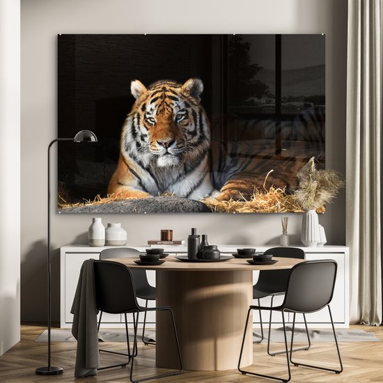 MuchoWow® Peinture sur verre 180x120 cm - Peinture sur verre acrylique - Tigre - Paille - Ombre - Photo sur verre - Peintures