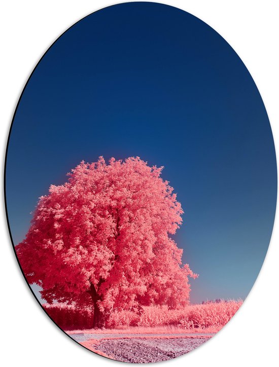 Dibond Ovaal - Landschap - Boom - Weg - Planten - Zand - Roze - 42x56 cm Foto op Ovaal (Met Ophangsysteem)