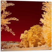 Tuinposter – Landschap - Bomen - Rood - Geel - 80x80 cm Foto op Tuinposter (wanddecoratie voor buiten en binnen)