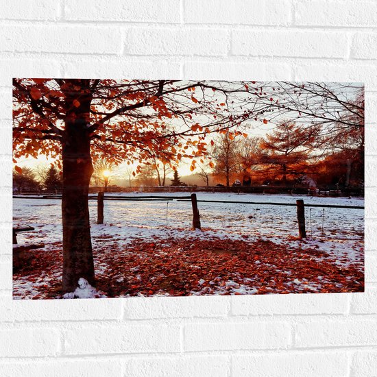 Muursticker - Landschap - Winter - Bomen - Bladeren - Sneeuw - Zonsondergang - 75x50 cm Foto op Muursticker