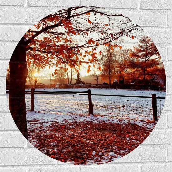 Muursticker Cirkel - Landschap - Winter - Bomen - Bladeren - Sneeuw - Zonsondergang - 70x70 cm Foto op Muursticker
