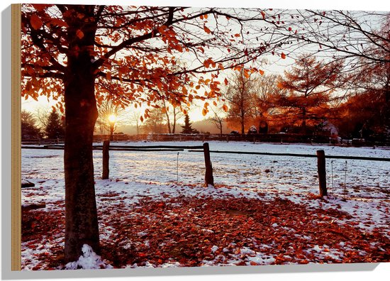 Hout - Landschap - Winter - Bomen - Bladeren - Sneeuw - Zonsondergang - 75x50 cm - 9 mm dik - Foto op Hout (Met Ophangsysteem)