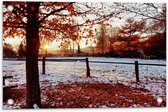 Tuinposter – Landschap - Winter - Bomen - Bladeren - Sneeuw - Zonsondergang - 60x40 cm Foto op Tuinposter (wanddecoratie voor buiten en binnen)