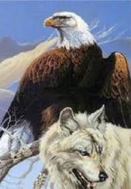 Denza - Diamond painting adelaar wolf 40 x 50 cm volledige bedrukking ronde steentjes direct leverbaar - roofdieren - arend -