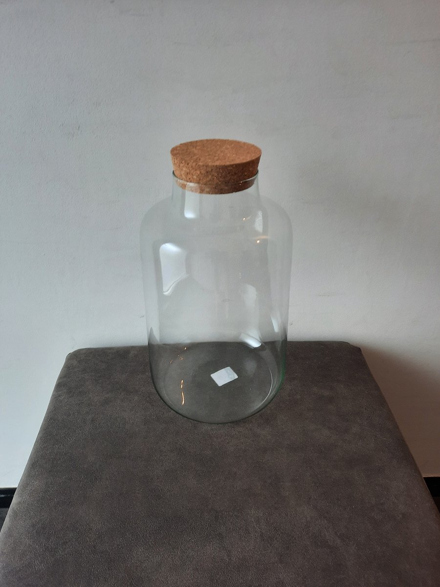 Eco vaas 'Sahari' - Terrarium glas lange sierlijke vorm met kurken dop - H30 cm D18,5 cm