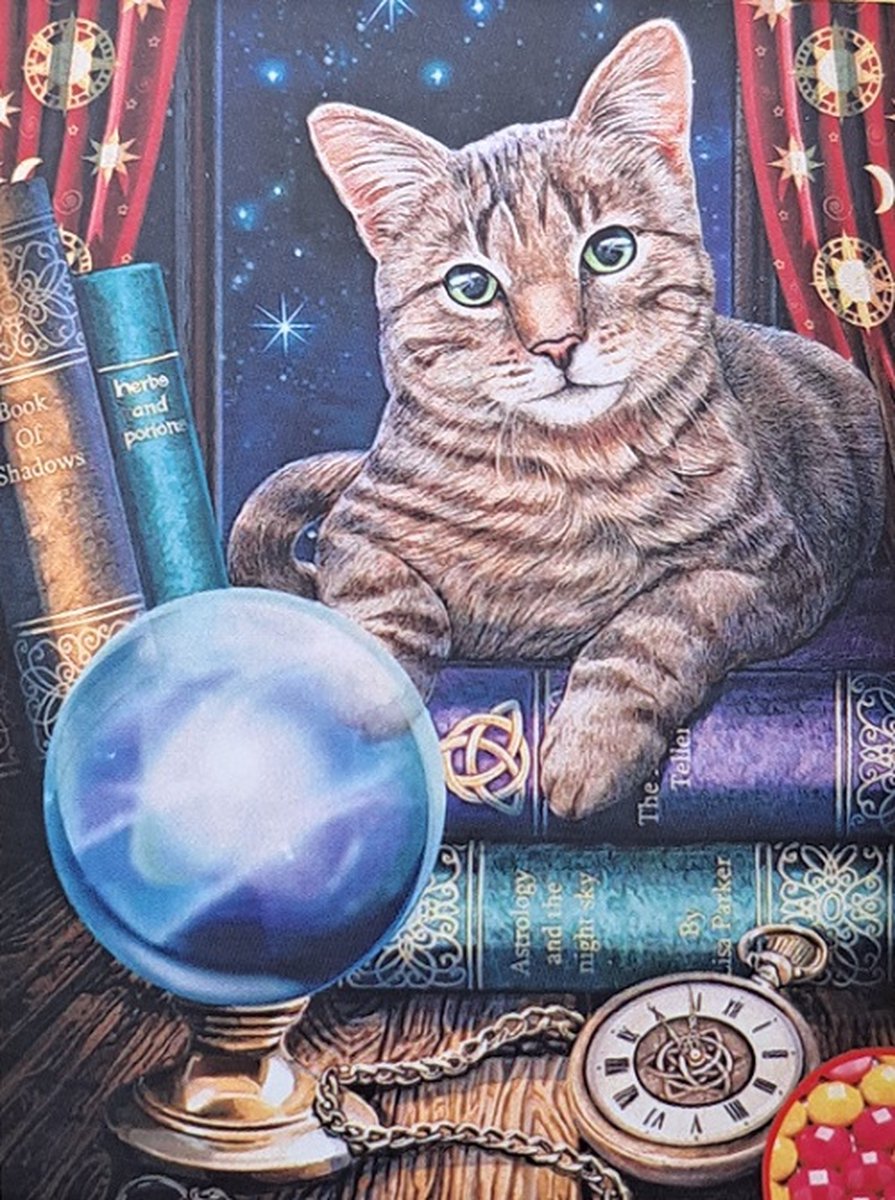 Denza - Diamond painting magic poes 40 x 50 cm volledige bedrukking ronde steentjes direct leverbaar - kat
