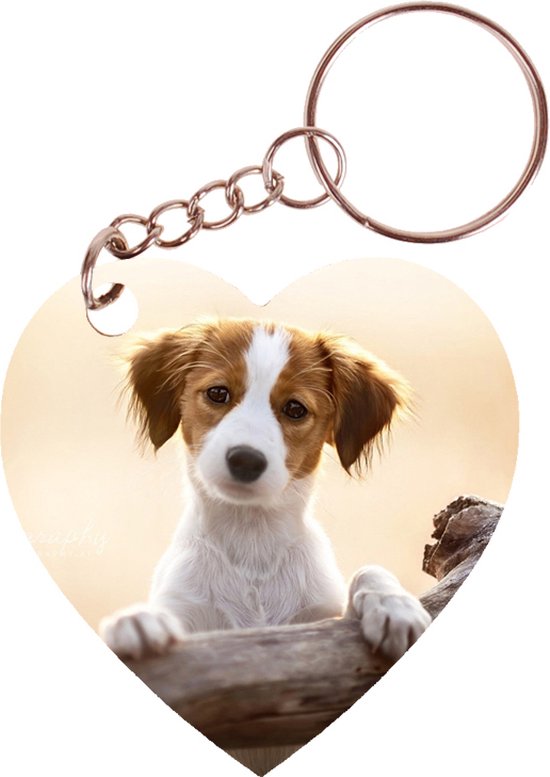 Foto: Sleutelhanger hartje 5x5cm kooikerhondje pup