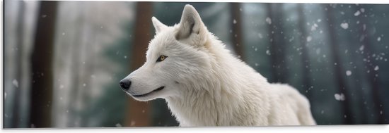 Dibond - Witte Wolf in Besneeuwd Landschap met Kale Bomen - 90x30 cm Foto op Aluminium (Wanddecoratie van metaal)