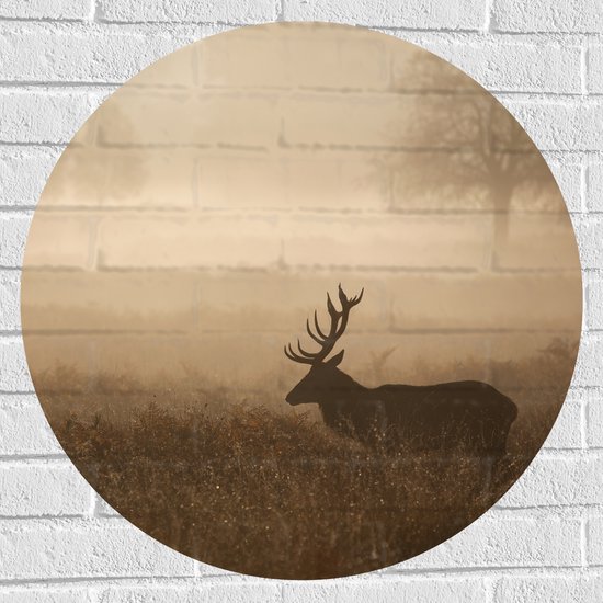 Muursticker Cirkel - Hert in mistige omgeving in een weiland met hoog gras - 70x70 cm Foto op Muursticker