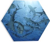PVC Schuimplaat Hexagon - Groep haaien zwemmen rond in de zee - 30x26.1 cm Foto op Hexagon (Met Ophangsysteem)