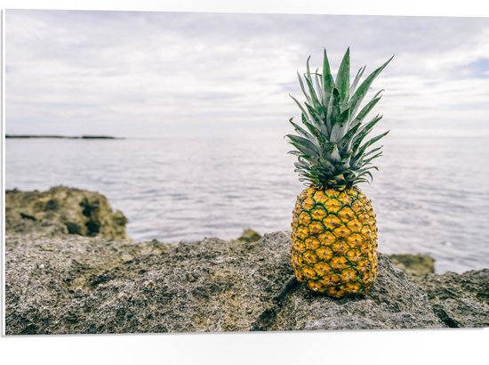 PVC Schuimplaat - Ananas - Rotsen - Zee - Golven - 75x50 cm Foto op PVC Schuimplaat (Met Ophangsysteem)