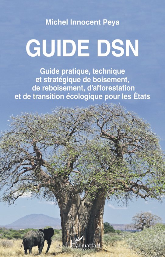 Guide DSN (ebook), Michel Innocent Peya | 9782140339721 | Boeken | bol
