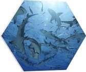 PVC Schuimplaat Hexagon - Groep haaien zwemmen rond in de zee - 50x43.5 cm Foto op Hexagon (Met Ophangsysteem)
