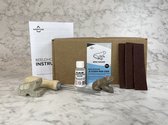 SamStone Doe-het-zelf pakket mini kikker - speksteen - cadeau - kunst- hobby - 10 jr - dier - beeldhouwen