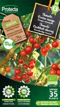 Protecta Groente zaden: Tomaat Cocktail cherry