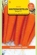 Oranjebandzaden -  Winterwortelen Elegance F1 (vh Major)