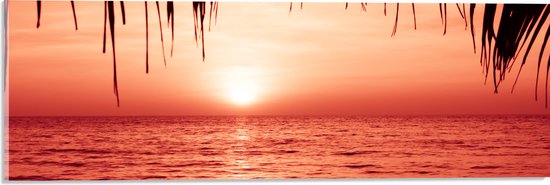 Acrylglas - Palmbladeren Hangend boven Zee met Rode Gloed - 60x20 cm Foto op Acrylglas (Met Ophangsysteem)