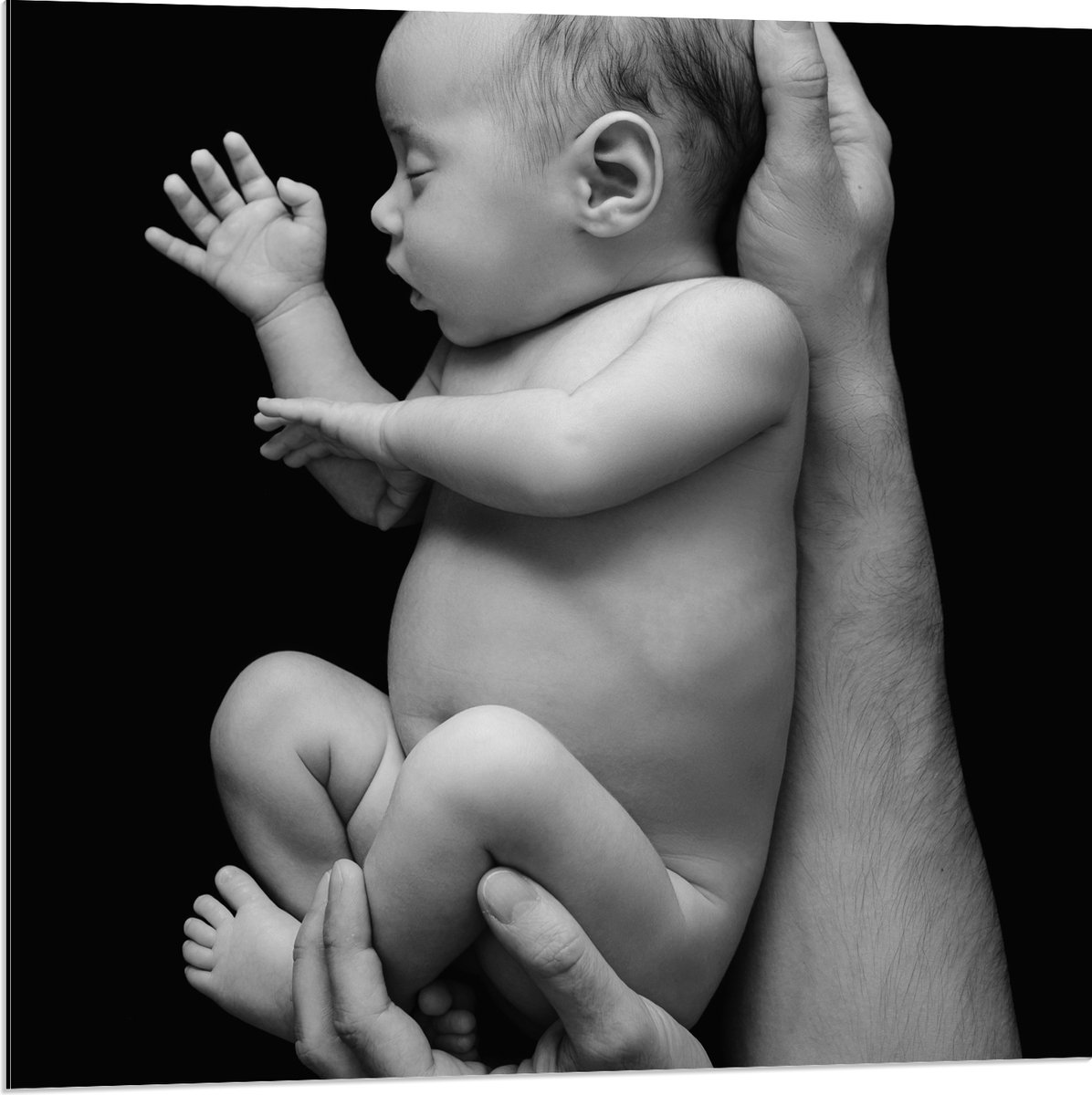 Dibond - Pasgeboren Baby in Handen van Vader (Zwart- wit) - 80x80 cm Foto op Aluminium (Met Ophangsysteem)