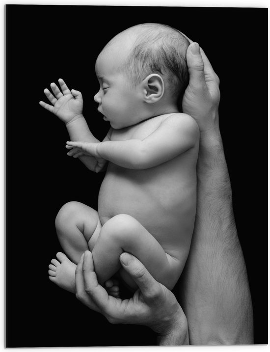 Dibond - Pasgeboren Baby in Handen van Vader (Zwart- wit) - 60x80 cm Foto op Aluminium (Wanddecoratie van metaal)