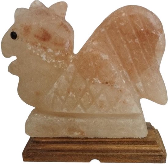 Himalaya Zoutlamp - HEN Lamp