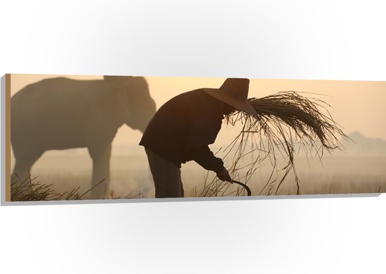 Hout - Persoon op Olifant bij Boer in Weiland - 150x50 cm - 9 mm dik - Foto op Hout (Met Ophangsysteem)