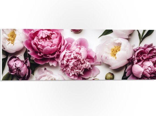 PVC Schuimplaat- Mix van Roze en Witte Bloemen op Witte Achtergrond - 60x20 cm Foto op PVC Schuimplaat