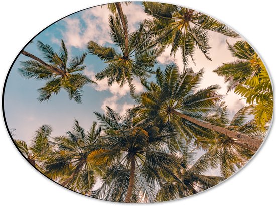 Dibond Ovaal - Onderaanzicht van Tropische Palmbomen onder Wolkenveld - 40x30 cm Foto op Ovaal (Met Ophangsysteem)