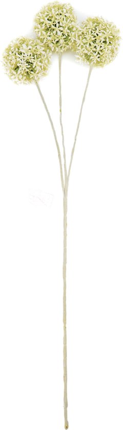 Housevitamin Allium Tak - Wit/ Groen- 20x65cm-Kunststof