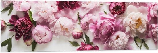 Vlag - Mix van Roze Bloemen op Witte Achtergrond - 120x40 cm Foto op  Polyester Vlag | bol.com