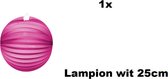 Lampion Pink 25cm - festival thema feest verjaardag party papier BBQ strand licht fun