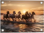 Tuinposter – Kudde Galopperende Paarden in de Zee bij Zonsondergang - 40x30 cm Foto op Tuinposter (wanddecoratie voor buiten en binnen)