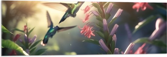 Acrylglas - Kolibries Vliegend bij Roze Plantgjes - 120x40 cm Foto op Acrylglas (Wanddecoratie op Acrylaat)
