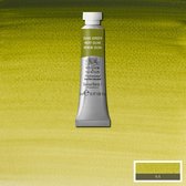 W&N Professional Aquarelverf 5ml | Olive Green