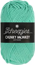Scheepjes Chunky Monkey 100g - 1422 Aqua - Blauw