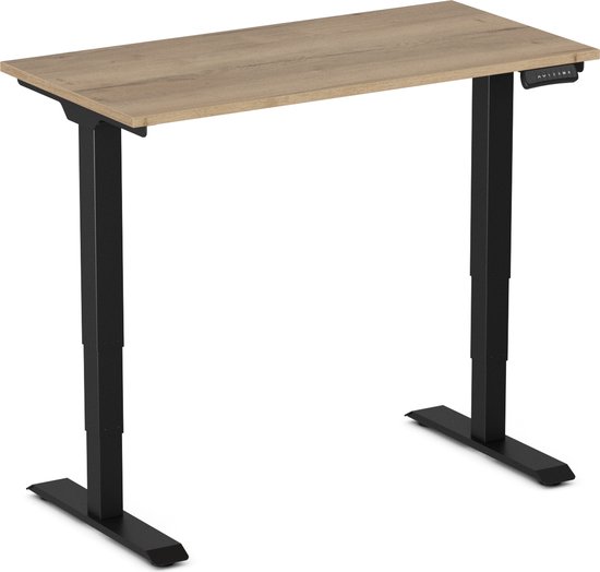 Airfish Elektrisch sta-bureau met USB-oplaadpoort, ergonomisch in hoogte verstelbaar computerbureau met kabellade, zit-sta bureau verhogingstafel voor thuiskantoor (Wit, 160 x 80 cm