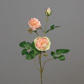 Brynxz - zijde - rose spray - 2 flowers - 70cm