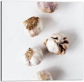 Dibond - Knoflookbolletjes Verspreid op Witte Achtergrond - 50x50 cm Foto op Aluminium (Wanddecoratie van metaal)