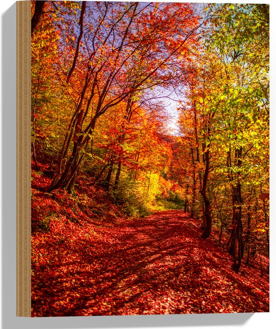 Hout - Bospad Bedolven onder Rode Herfstbladeren in Herfstbos - 30x40 cm - 9 mm dik - Foto op Hout (Met Ophangsysteem)