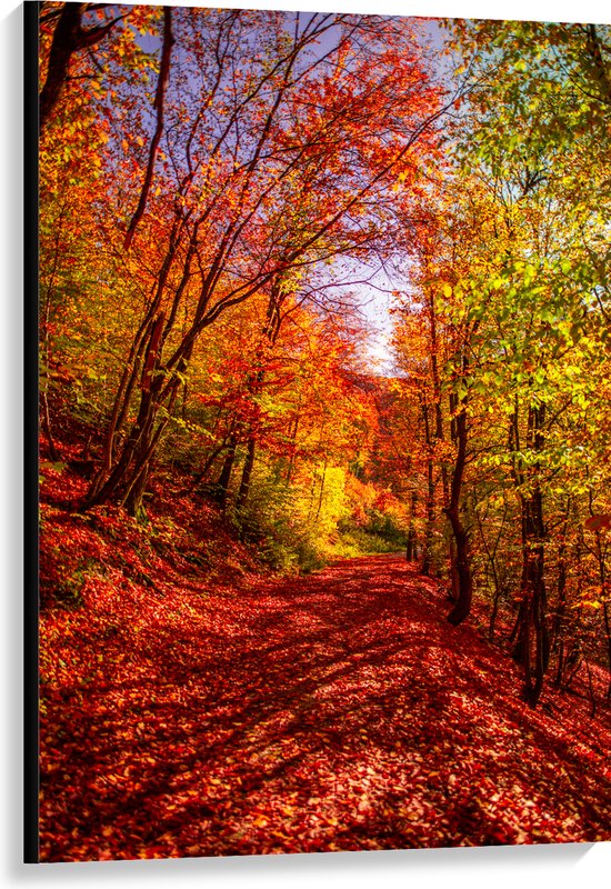 Canvas - Bospad Bedolven onder Rode Herfstbladeren in Herfstbos - 80x120 cm Foto op Canvas Schilderij (Wanddecoratie op Canvas)