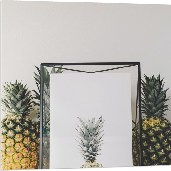Acrylglas - Lijst met Ananas en Ananassen ernaast - 80x80 cm Foto op Acrylglas (Met Ophangsysteem)