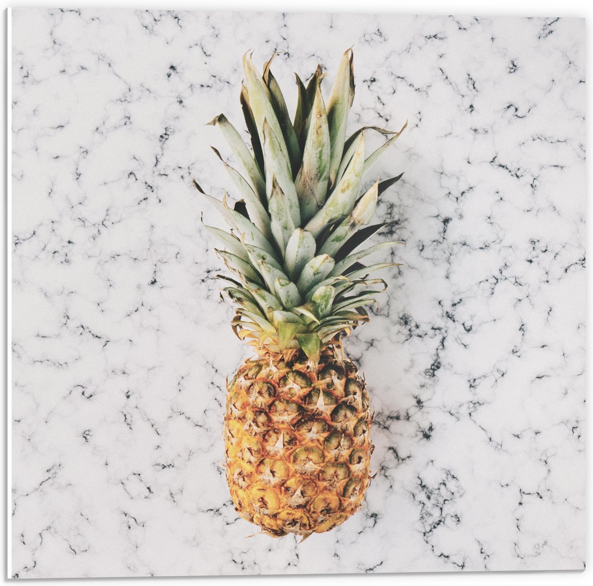 PVC Schuimplaat - Ananas op Marmeren Achtergrond - 50x50 cm Foto op PVC Schuimplaat (Met Ophangsysteem)