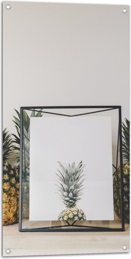 Tuinposter – Lijst met Ananas en Ananassen ernaast - 50x100 cm Foto op Tuinposter (wanddecoratie voor buiten en binnen)