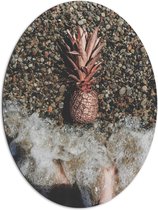 Dibond Ovaal - Ananas op Kiezelstrand - 81x108 cm Foto op Ovaal (Met Ophangsysteem)