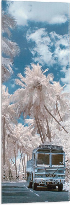 Vlag - Wit Busje Rijdend tussen de Witte Palmbomen onder Schapenwolken - 30x90 cm Foto op Polyester Vlag