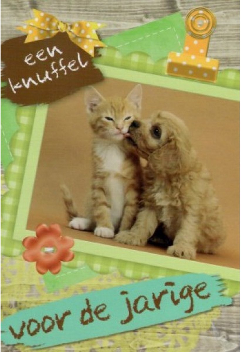 Een knuffel voor de jarige! Van harte gefeliciteerd! Deze hond en kat zitten heel lief en schattig bij elkaar. Een geschikte kaart voor de jarige om zo te geven of om bij een cadeau te doen. Een dubbele wenskaart inclusief envelop en in folie verpakt