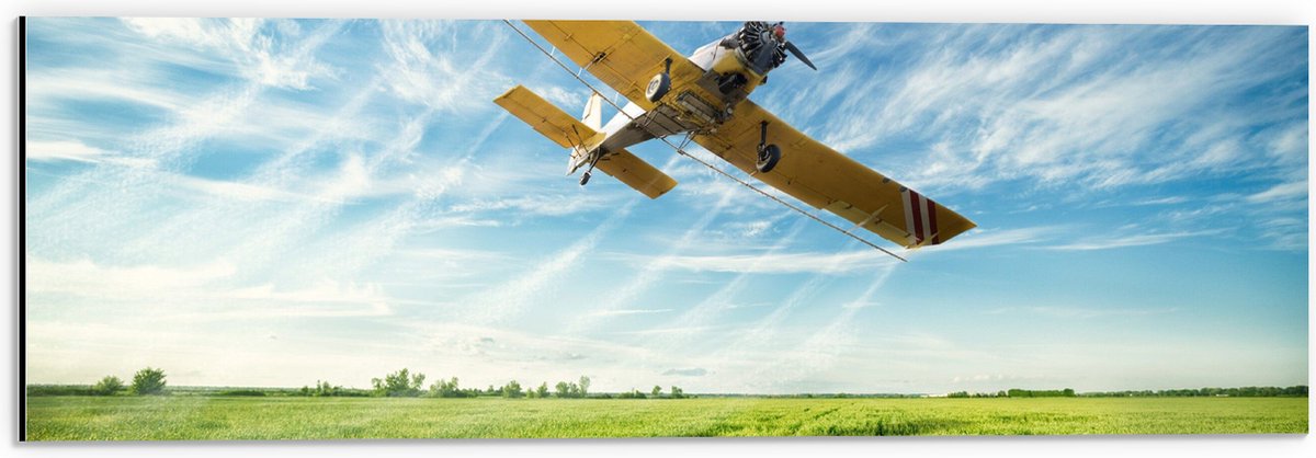 Dibond - Geel Suntvliegtuig Vliegend over Vlakte onder Sluierbewolking - 60x20 cm Foto op Aluminium (Wanddecoratie van metaal)